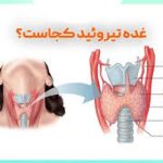 پک  تیروئید